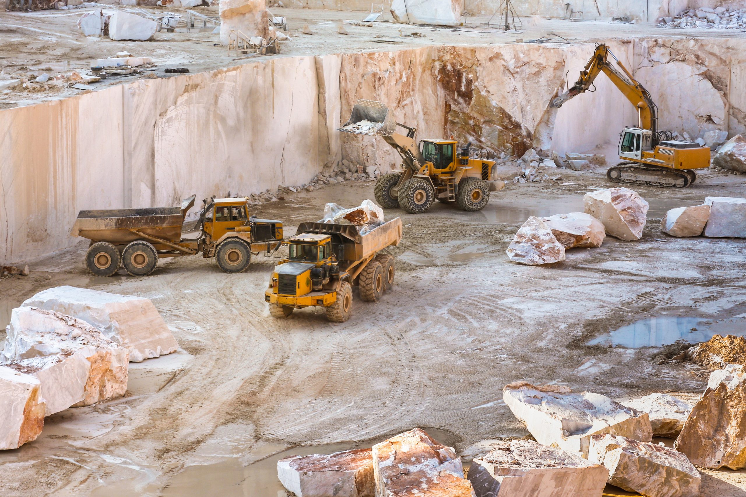 Devil's Copper - Business Interruption Mining Loss involving nickel