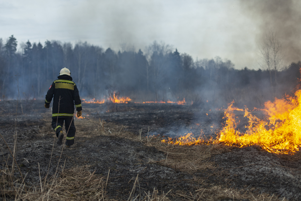 Canadian Wildfires – 2023