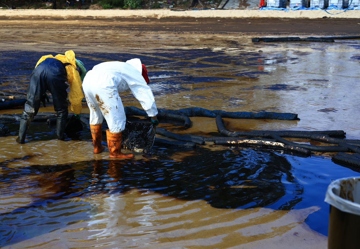 Major Oil Spill Causes Environmental Damages