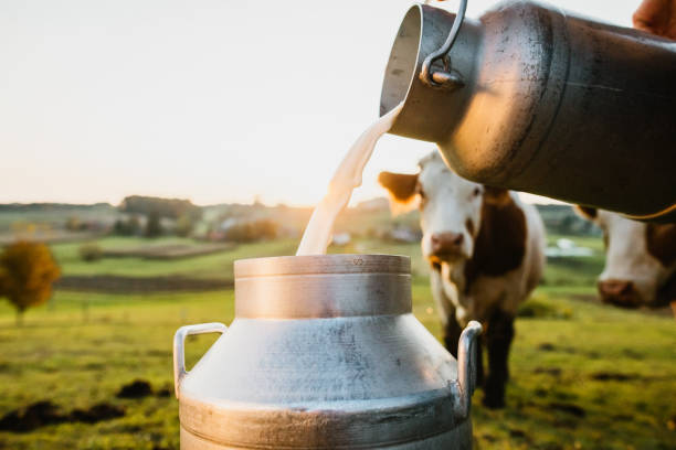 MDD Academy Webinar – Agriculture Series – Canada – Dairy