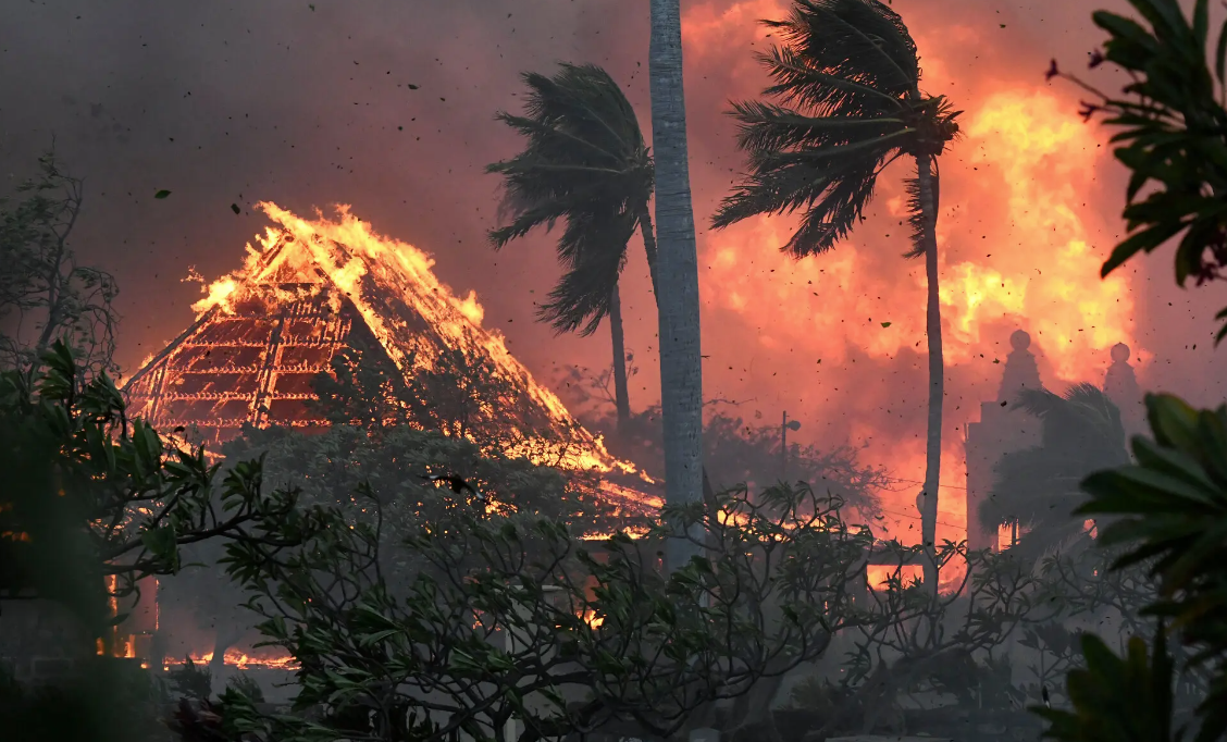 Maui Wildfires – Update 1