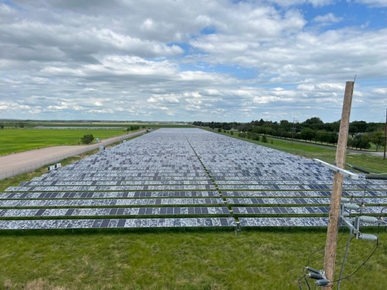 hail damaged solar farm