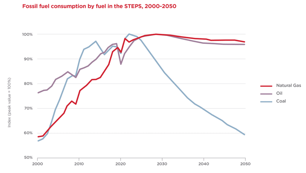 fossil fuel consumption by fuel