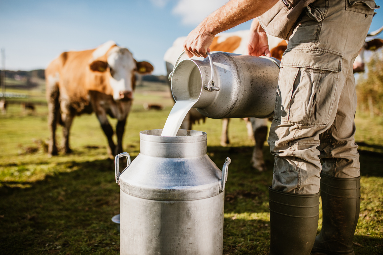 How Can a Forensic Accountant Assist With a Dairy Farm Loss?